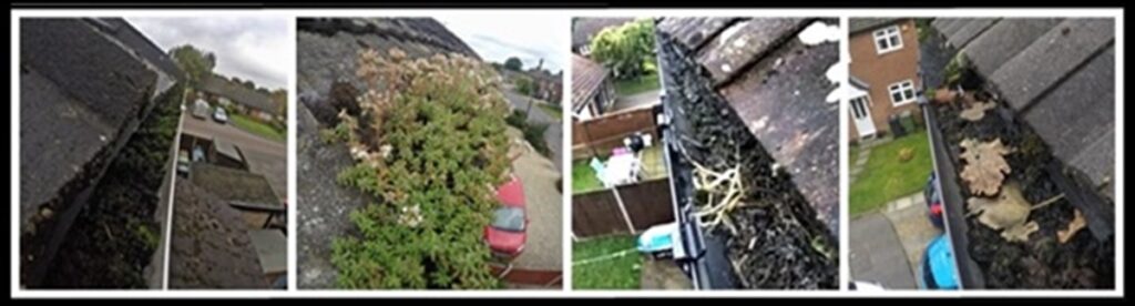 gutters-that-need-cleaning