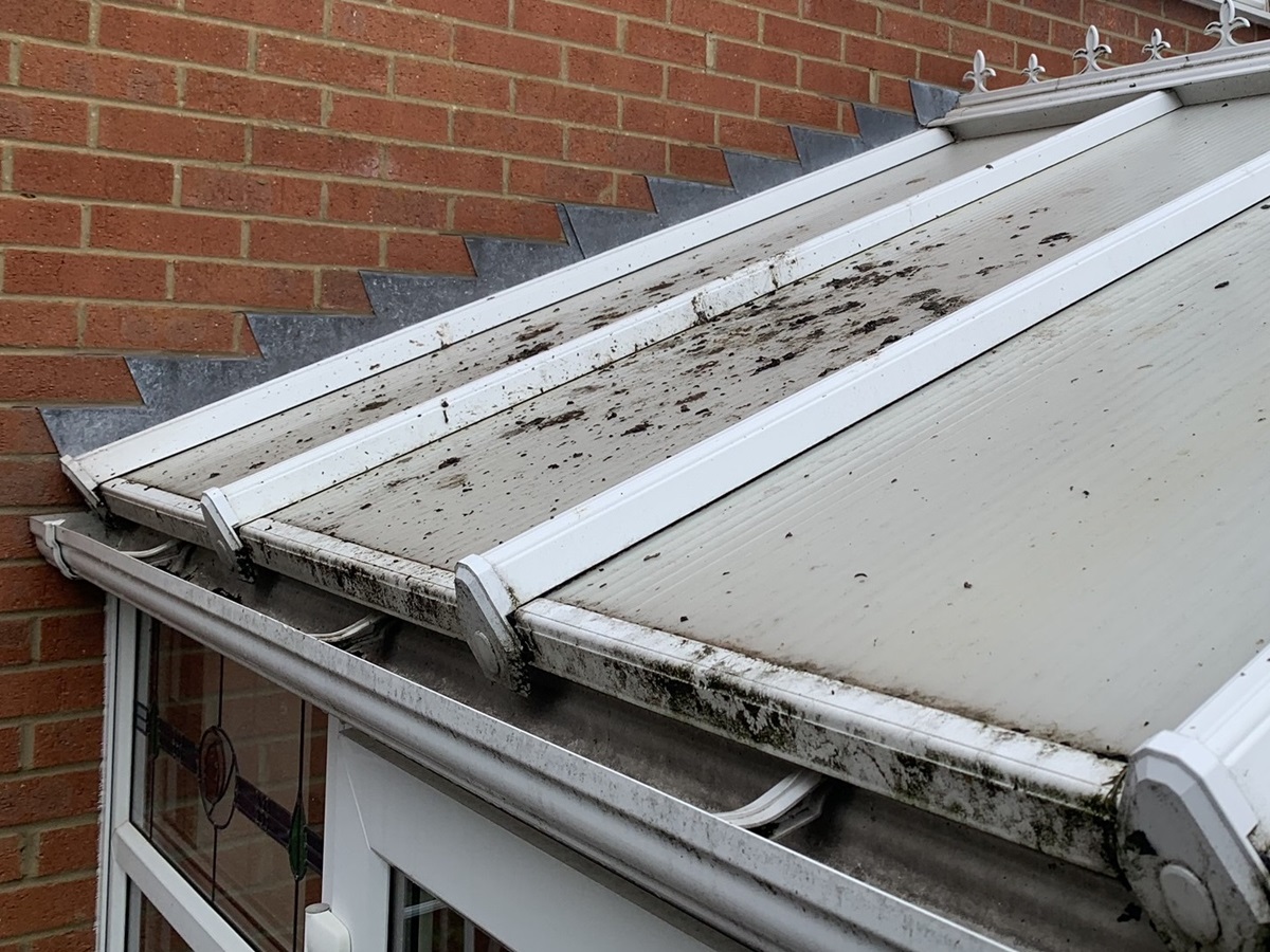 dirt on the conservatory roof